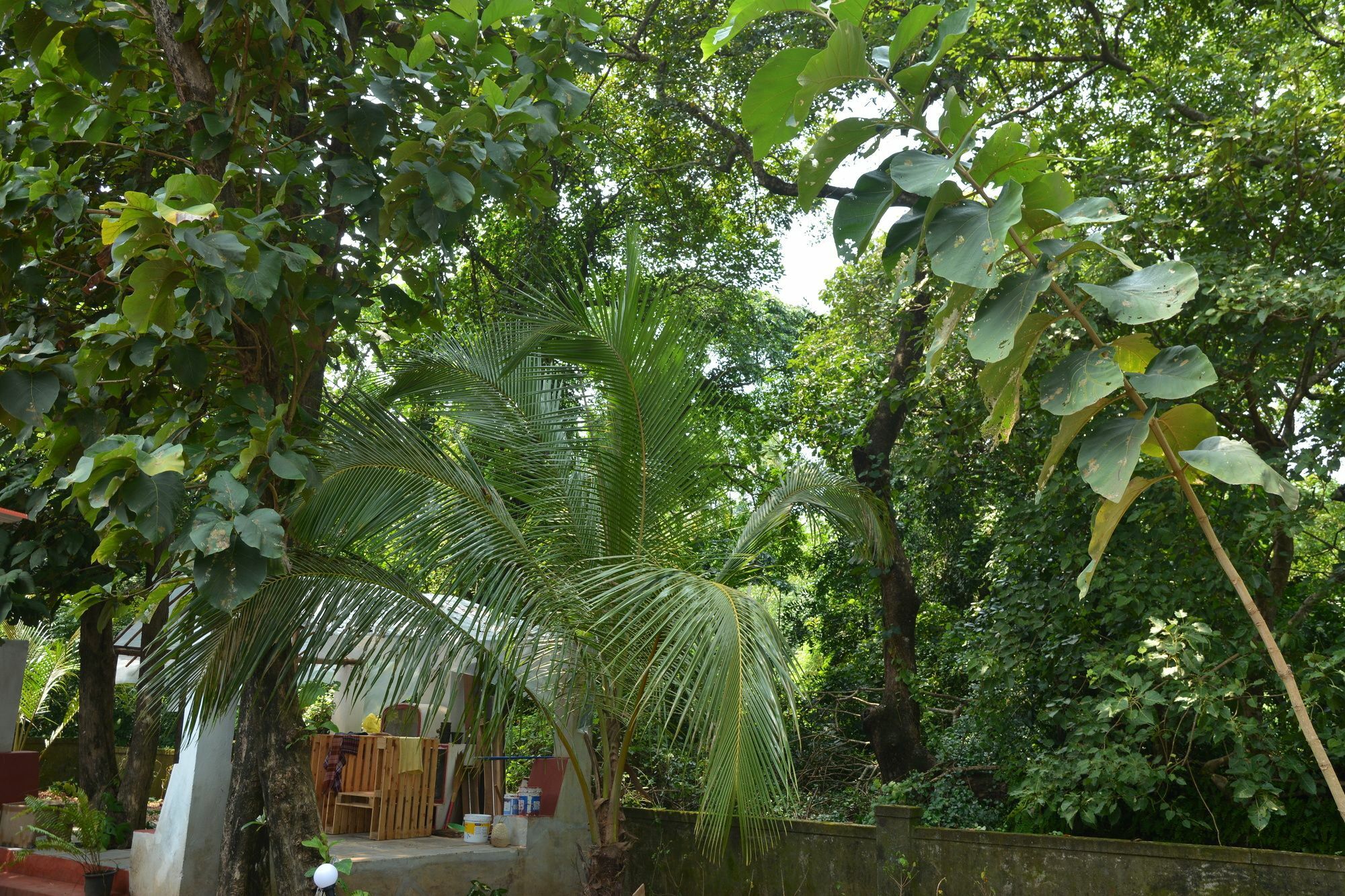 Folklore Hostel Goa Vagator Esterno foto